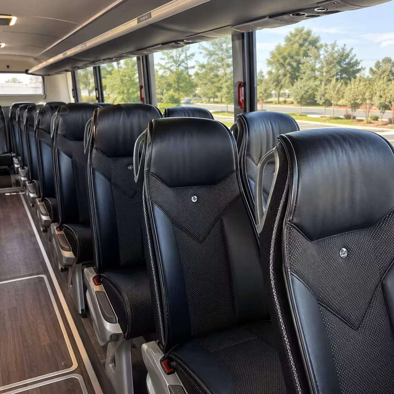 albany long distance transportation