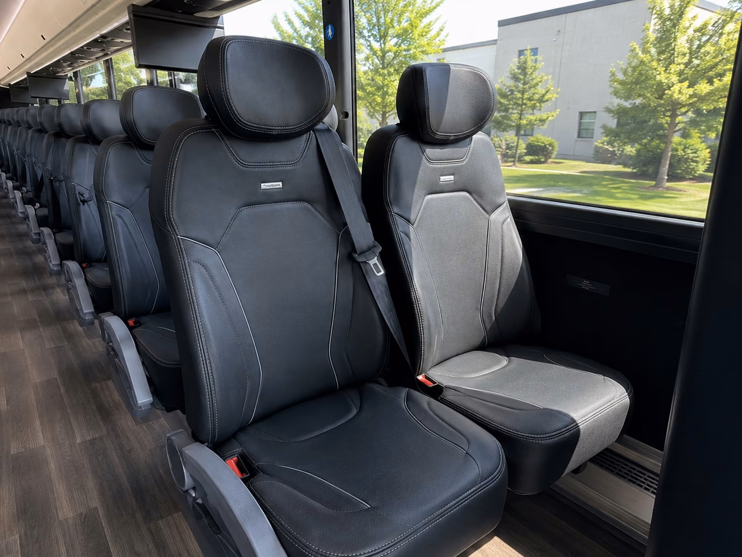 compare wedding transportation options in albany and beyond